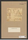 Triceratium dobreeanum Grev. (de-Toni-Nr.: Genus 140, Species 3759) Zeichnungen Sammlung Grunow Nr. 7272 (NHMW-BOT-W0376286)